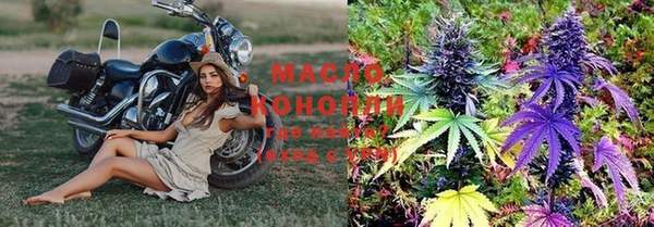 винт Инта