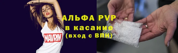 винт Инта