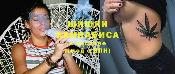 винт Инта