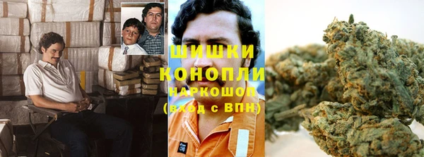 винт Инта